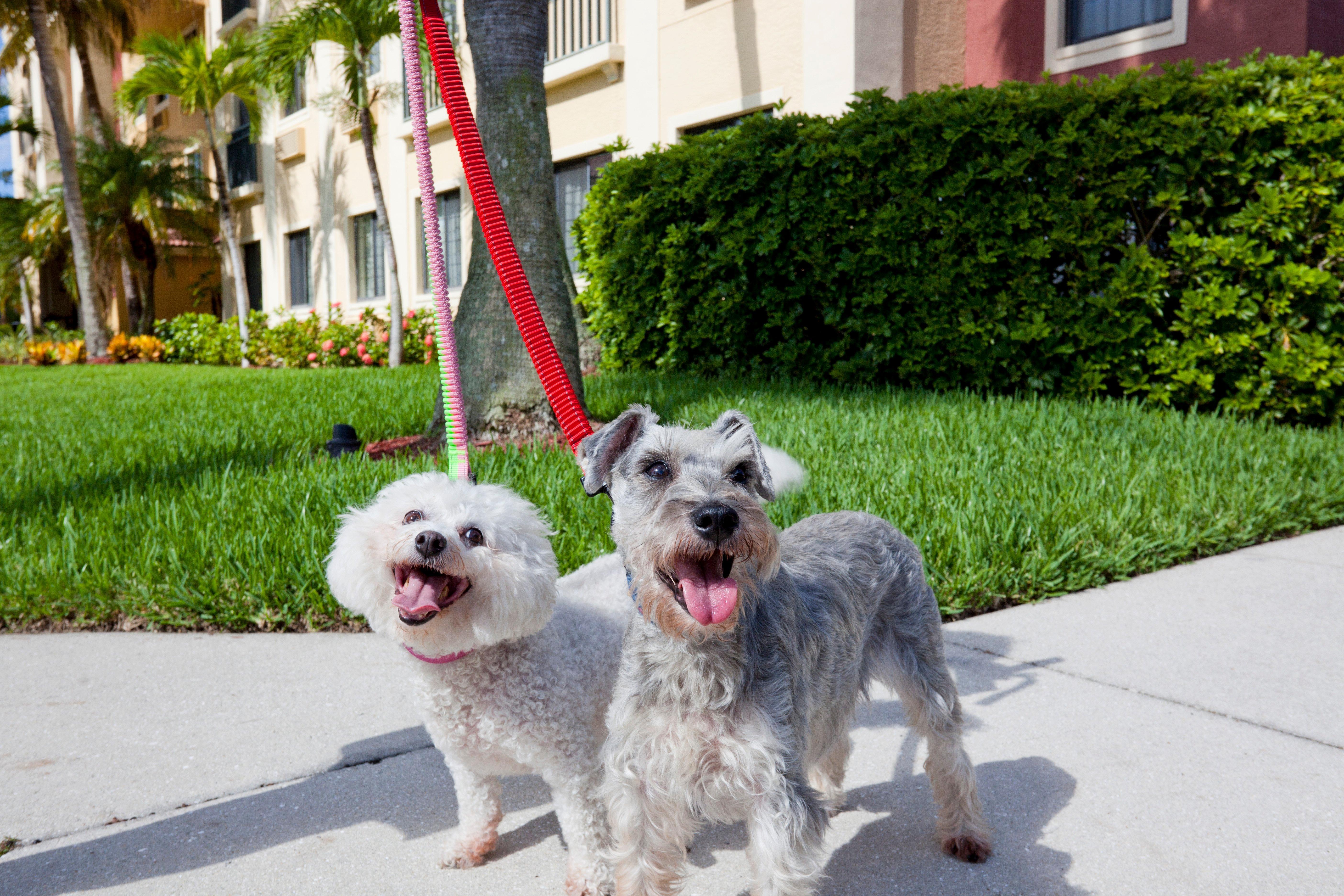 Staybridge Suites Naples - Gulf Coast, An Ihg Hotel Esterno foto