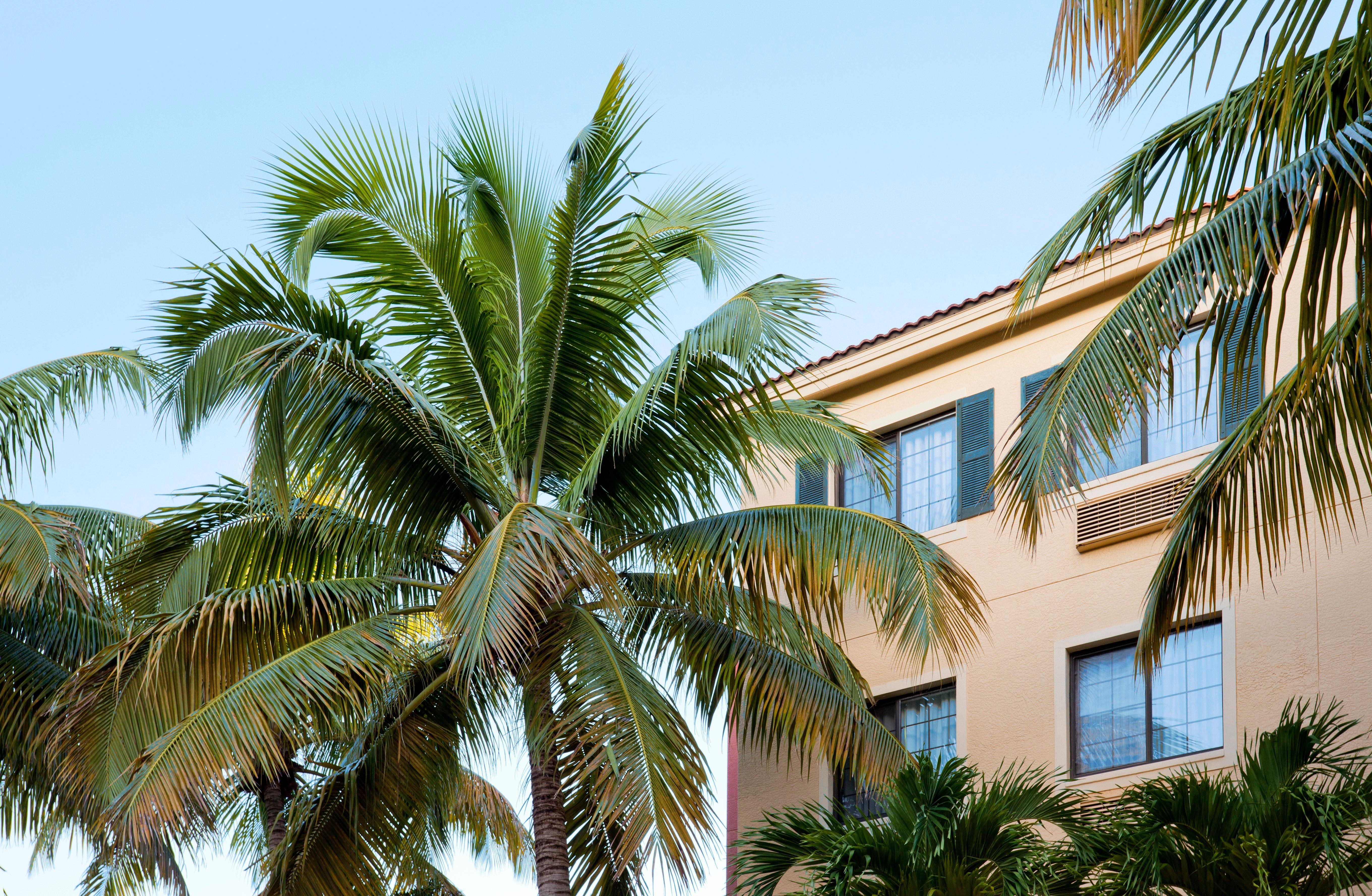 Staybridge Suites Naples - Gulf Coast, An Ihg Hotel Esterno foto
